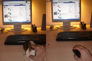 133467_466473330769_1422226_o