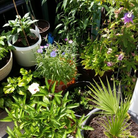 Tropen in Düsseldorf