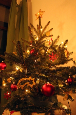 Weihnachtsbaum_gigantisch