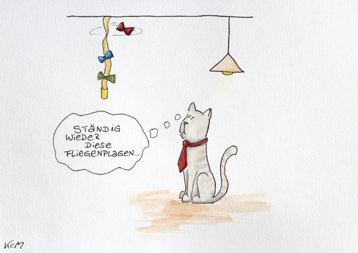 fliegenplage