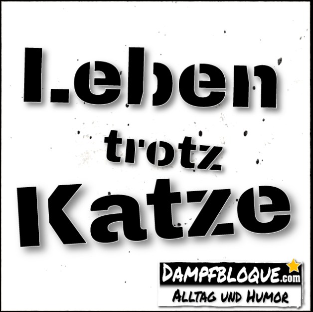 Leben trotz Katze